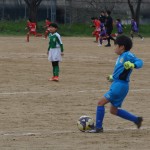 DSC01764_copy_4608x3456