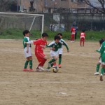 DSC01772_copy_4608x3456